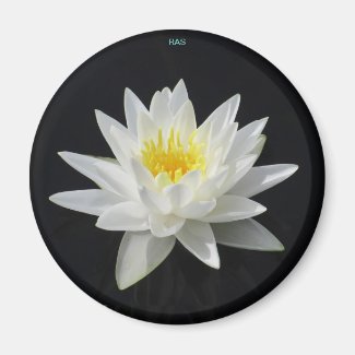 Lotus Flower Magnet