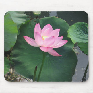 Lotus flower mouse pad