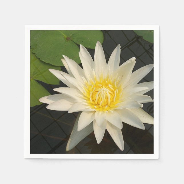 lotus, flower, nature, blossom, floral, plant, napkins (Front)