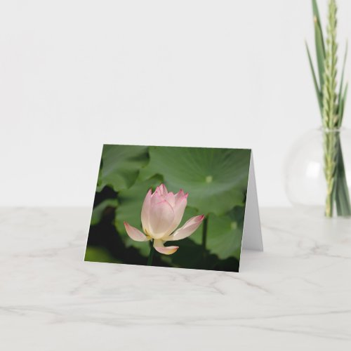 lotus flower note card