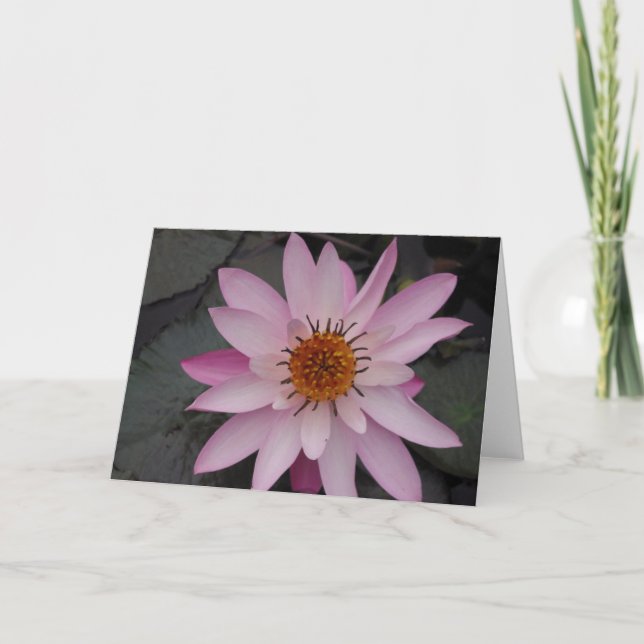 Lotus Flower Note Card (Front)