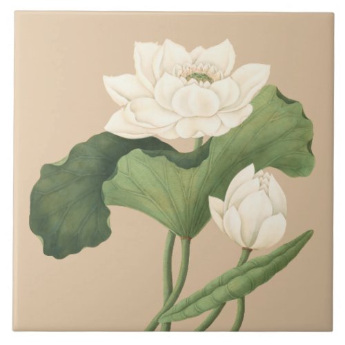 Lotus Flower of East India Botanical Art Ceramic Tile