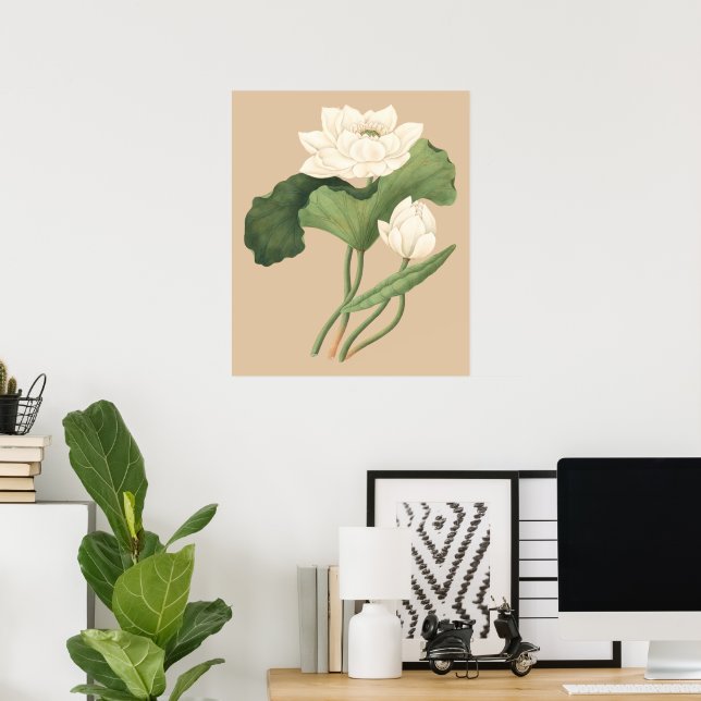 Lotus Flower of East India Botanical Art Poster (Home Office)