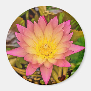 Lotus Flower of Life Magnet