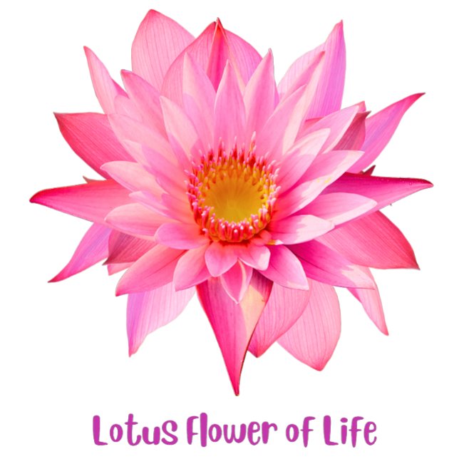 Lotus Flower of Life T-Shirt (Creator Uploaded)