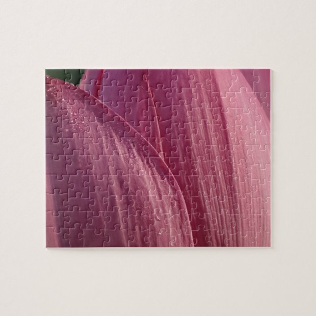 Lotus Flower Petals Pink Floral Jigsaw Puzzle (Horizontal)