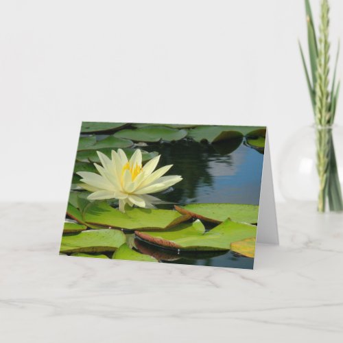 Lotus Flower Photog with Buddha Quote inside Card