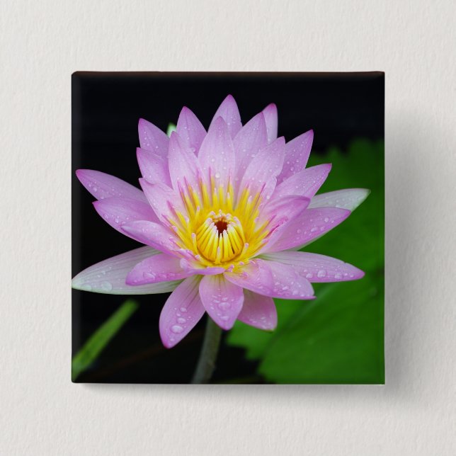 Lotus Flower Pinback Button (Front)