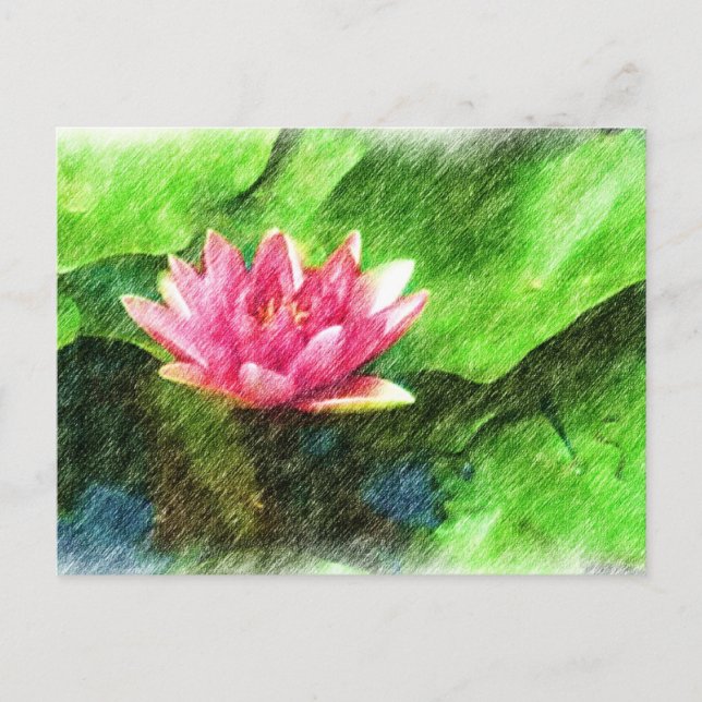 Lotus Flower Postcard (Front)