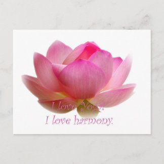 Lotus Flower Postcard