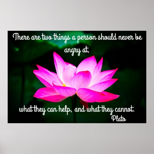 Lotus Flower Poster with Quote by Plato