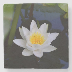 Lotus Flower Stone Coaster
