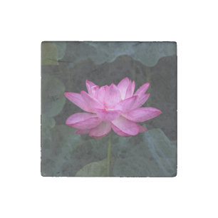 Lotus Flower Stone Magnet