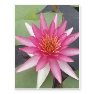 Lotus Flower Temporary Tattoos