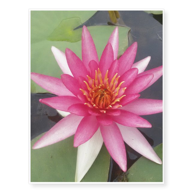 Lotus Flower Temporary Tattoos (Front)