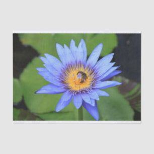 Lotus flower tissue paper