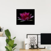 Lotus Flower Water Plant Poster | Zazzle