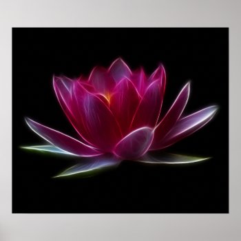 Lotus Flower Water Plant Poster by Aurora_Lux_Designs at Zazzle