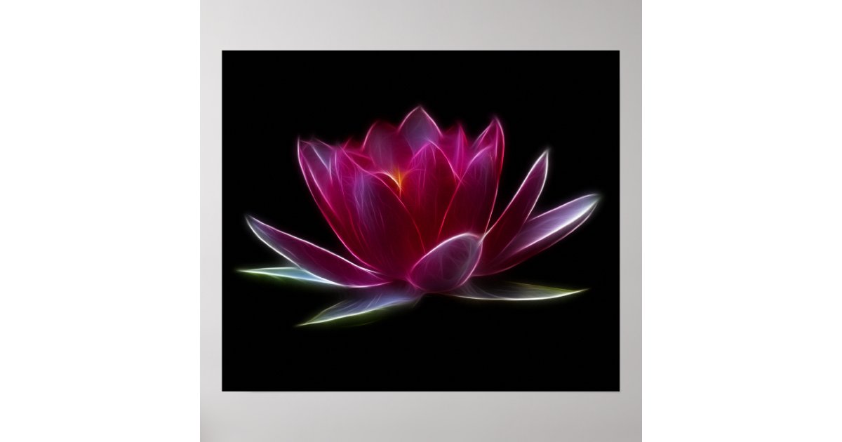 Lotus Flower Water Plant Poster | Zazzle