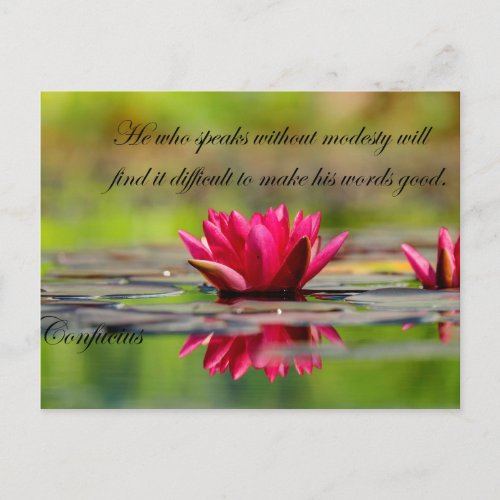 Lotus Flower with Confucius Quotes Postcard