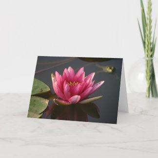 Lotus flower with frog card