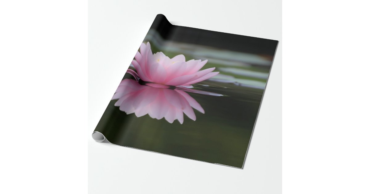Lotus Flower , Zen Wrapping Paper Zazzle