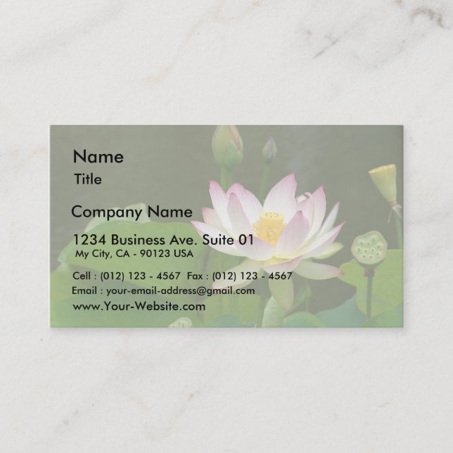 Lotus Flowers Ponds Business Card (Front)