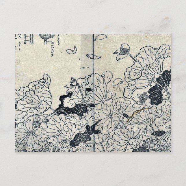 Lotus in the wind by Tachibana,Yasukuni Postcard (Front)