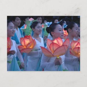 Lotus Lantern Postcard