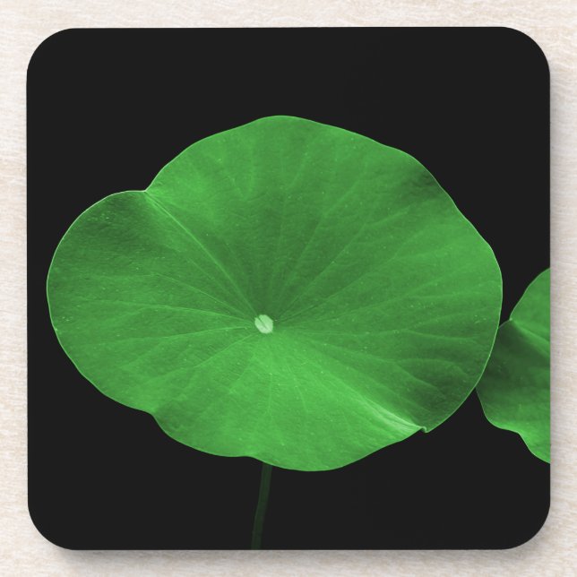 Lotus Leaves Beverage Coaster (Front)