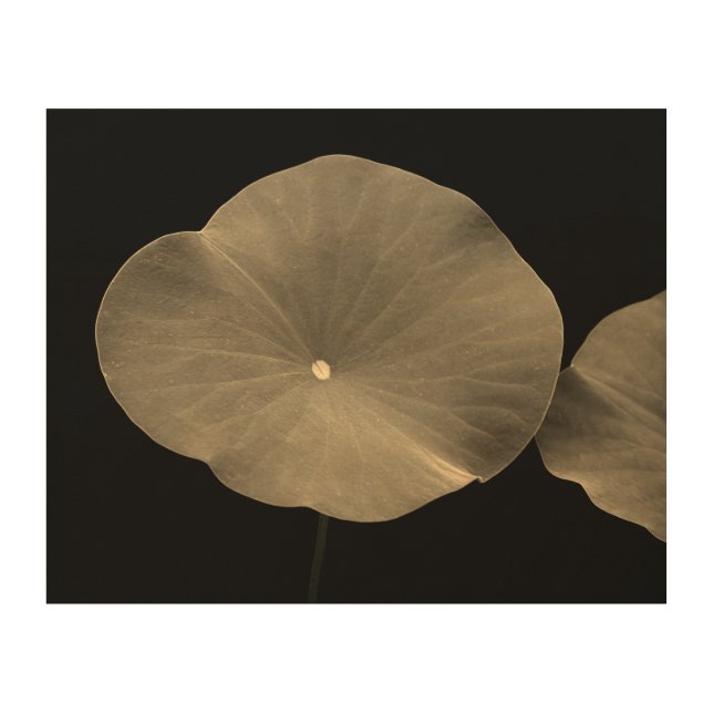 Lotus Leaves Wood Wall Art (Front)
