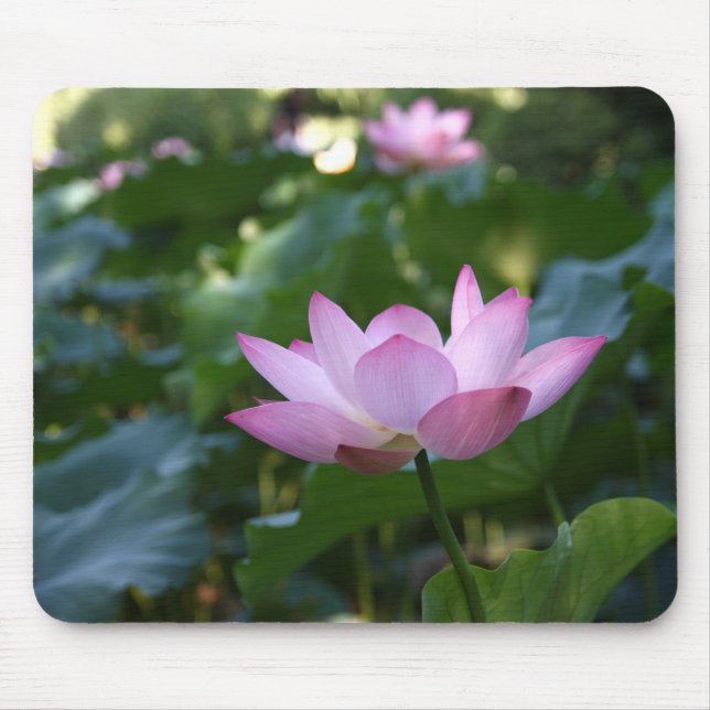 Lotus Mouse Pad (Front)