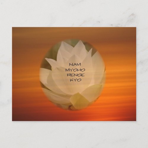 Lotus Nam Myoho Renge Kyo SGI Buddhist Postcard