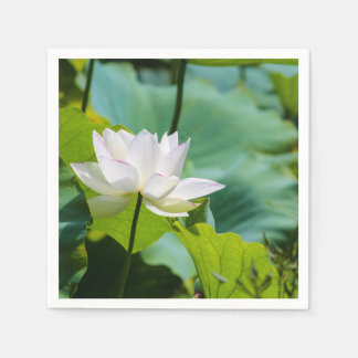 Lotus Napkins