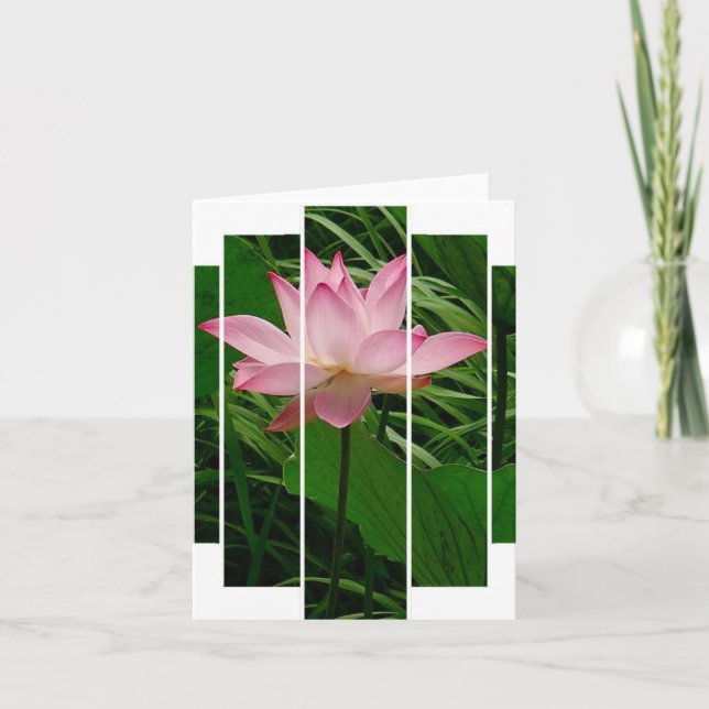 Lotus Notecard (Front)