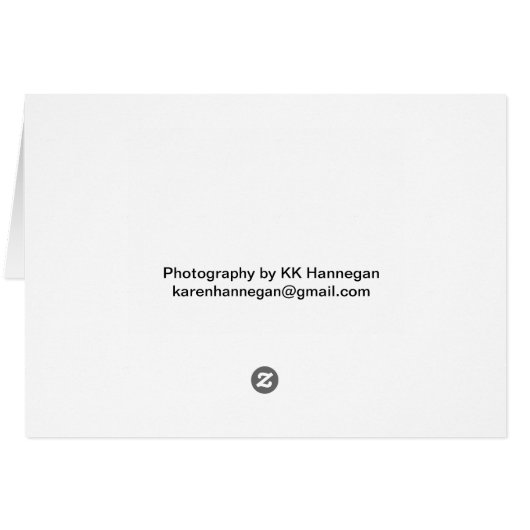 Lotus Path (Back Horizontal)