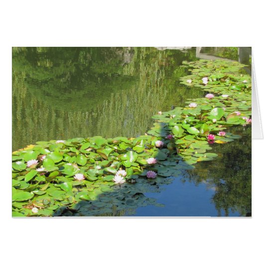 Lotus Path Cards (Front Horizontal)