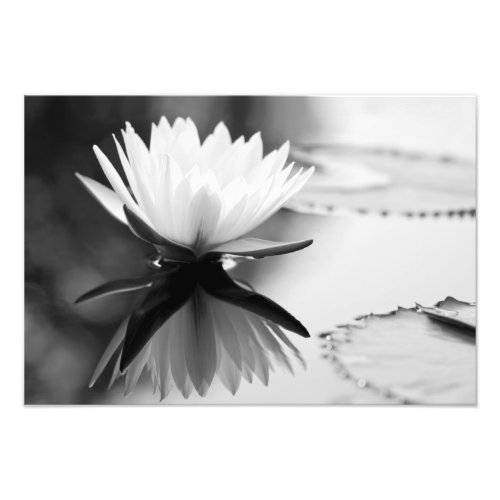 Lotus Photo Print