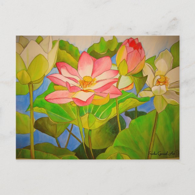 Lotus pink waterlily watercolor art painting postcard (Front)