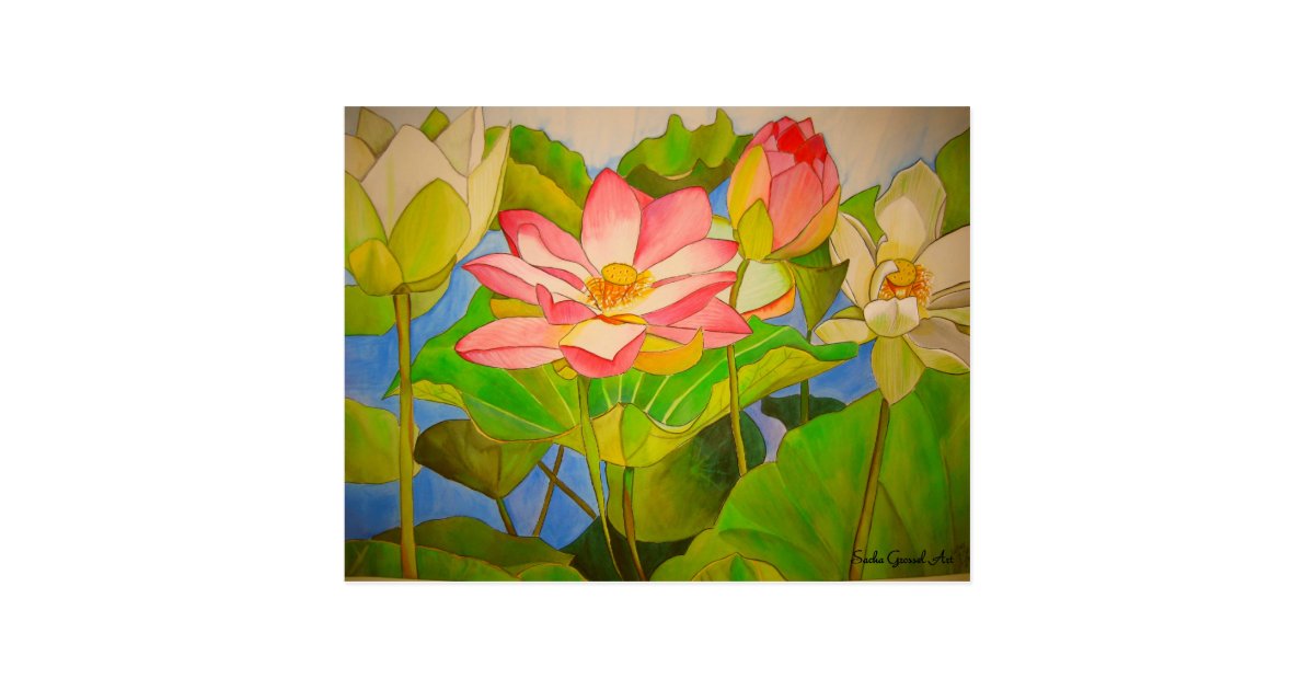Lotus Pink Waterlily Watercolor Art Painting Postcard Zazzle Com