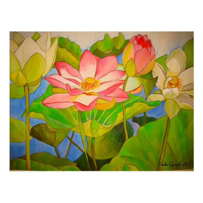 Lotus Pink Waterlily Watercolor Art Painting Postcard Zazzle Com