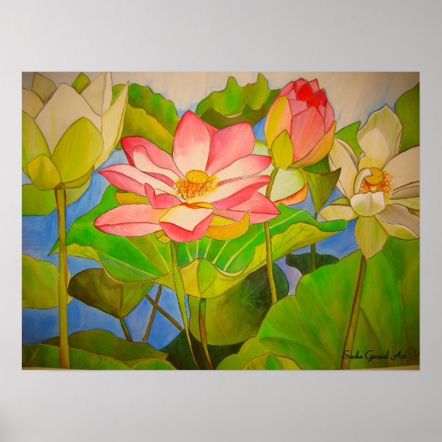Lotus pink waterlily watercolor art painting poster (Front)