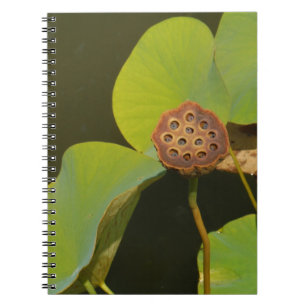 Lotus Pod and Lilly Pad Notebook