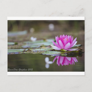 Lotus Postcard