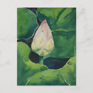 Lotus Postcard