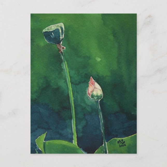 Lotus Postcard (Front)