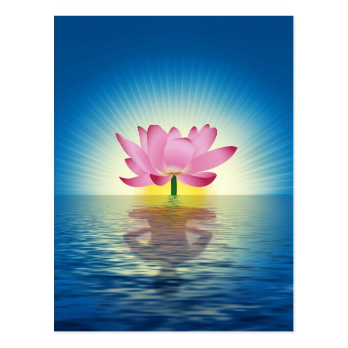 Lotus Reflection Postcard