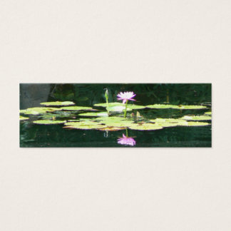 Lotus Reflections