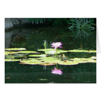 Lotus Reflections Cards