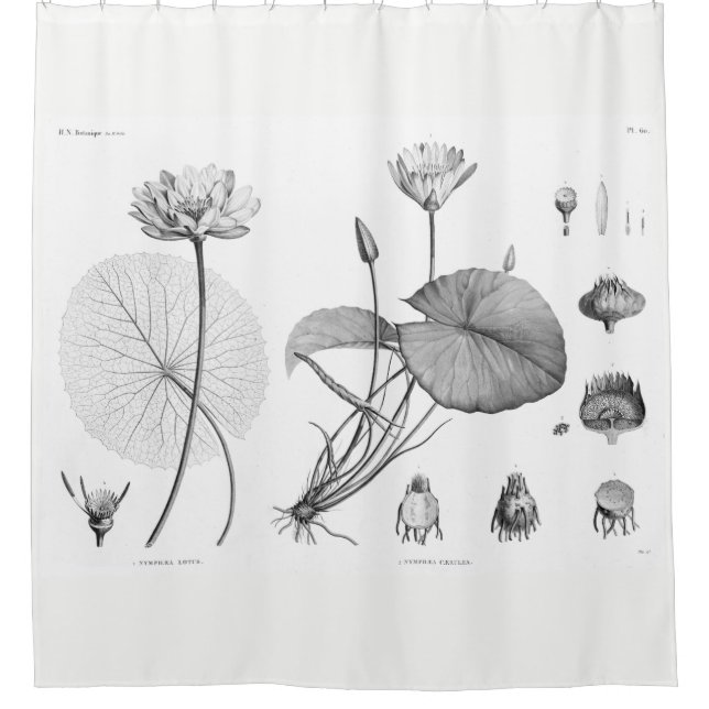 Lotus Shower Curtain (Front)